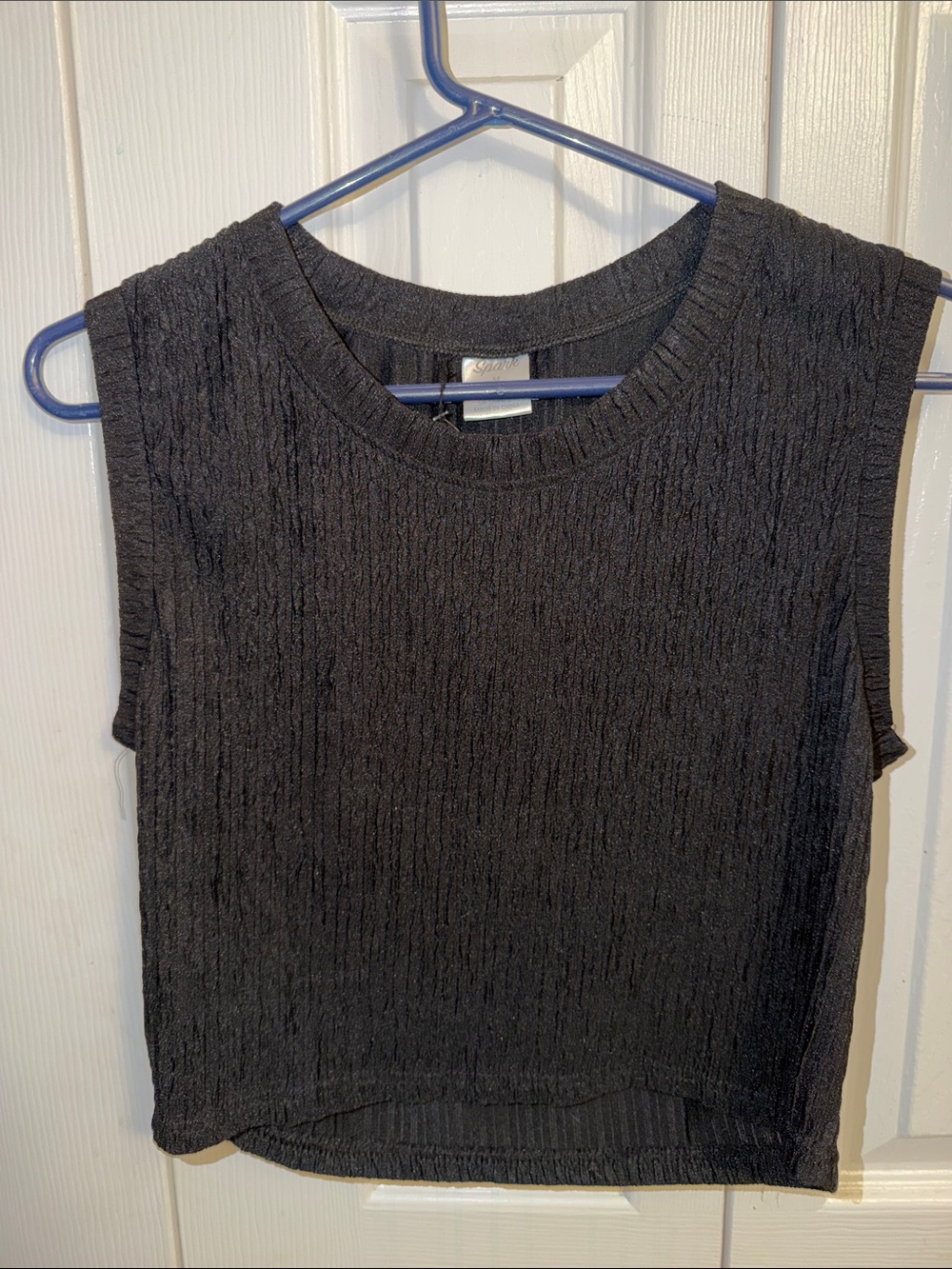 Sleeveless Black Textured Crop Top